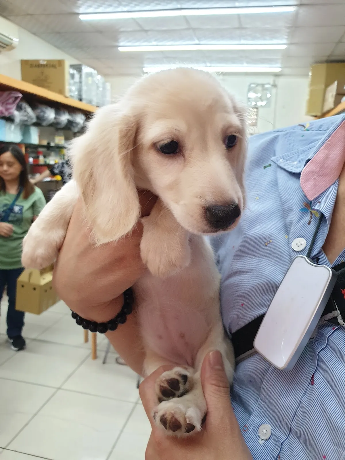 芭芭拉寵物生活館(貓)