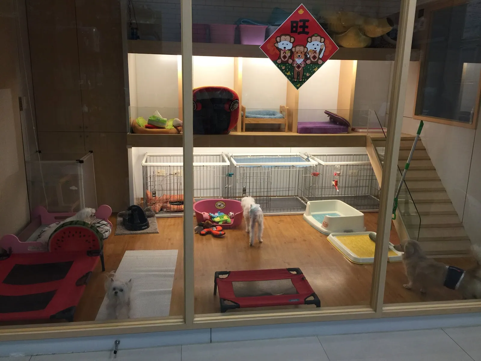 朵菈寵物生活館