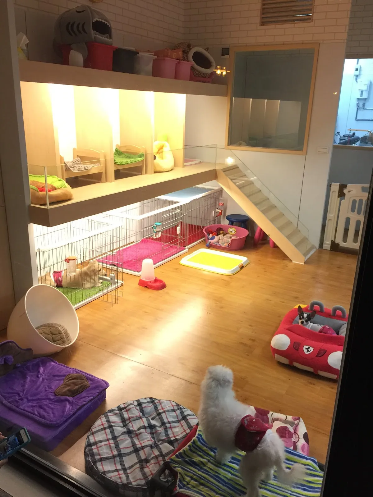 朵菈寵物生活館