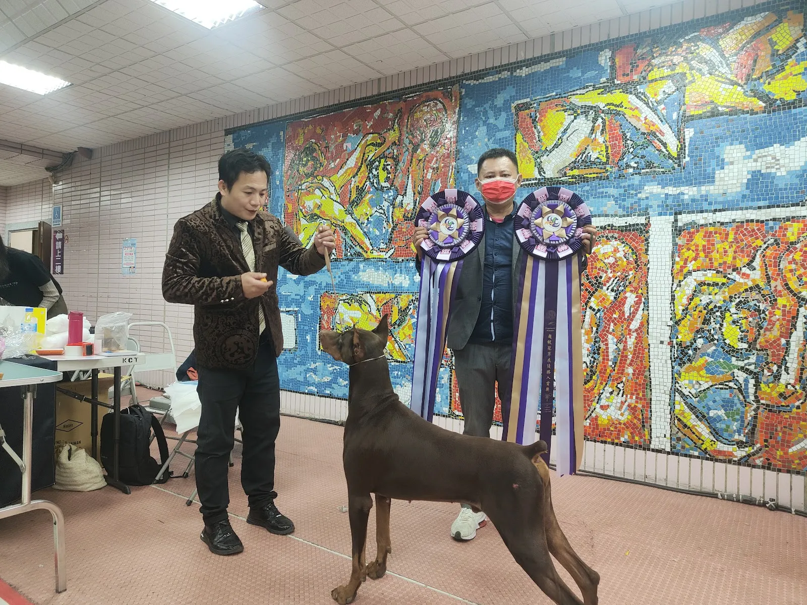 白熊弟弟犬舍