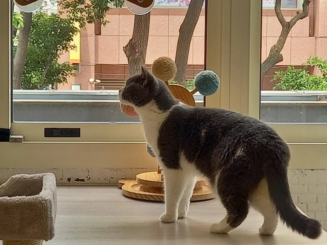 展翊貓鐵寵物旅館