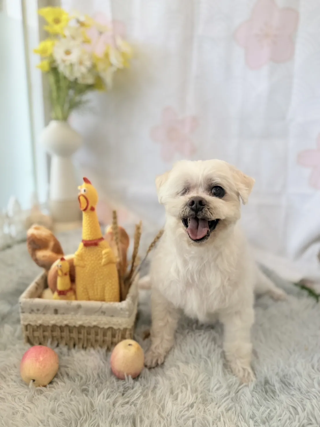 祝妮皮安企業社