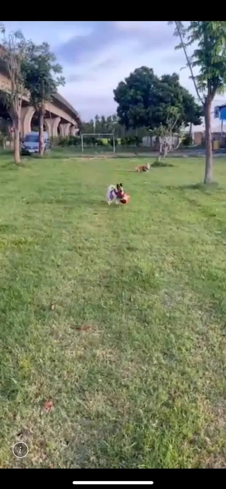 祝妮皮安企業社