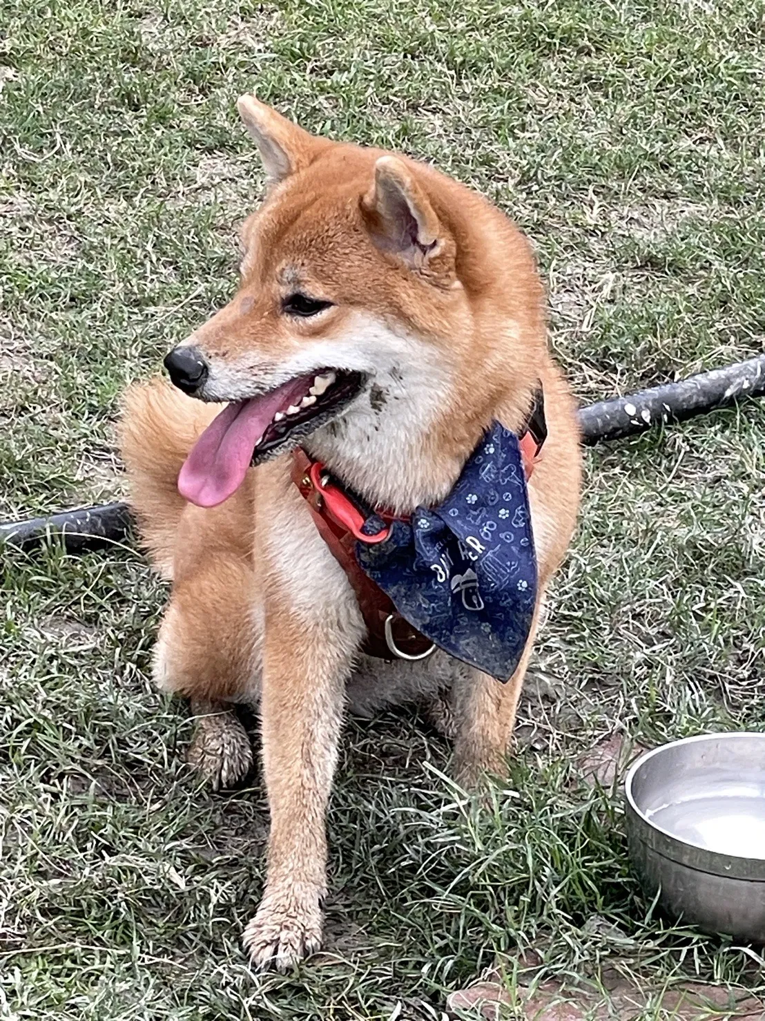 祝妮皮安企業社