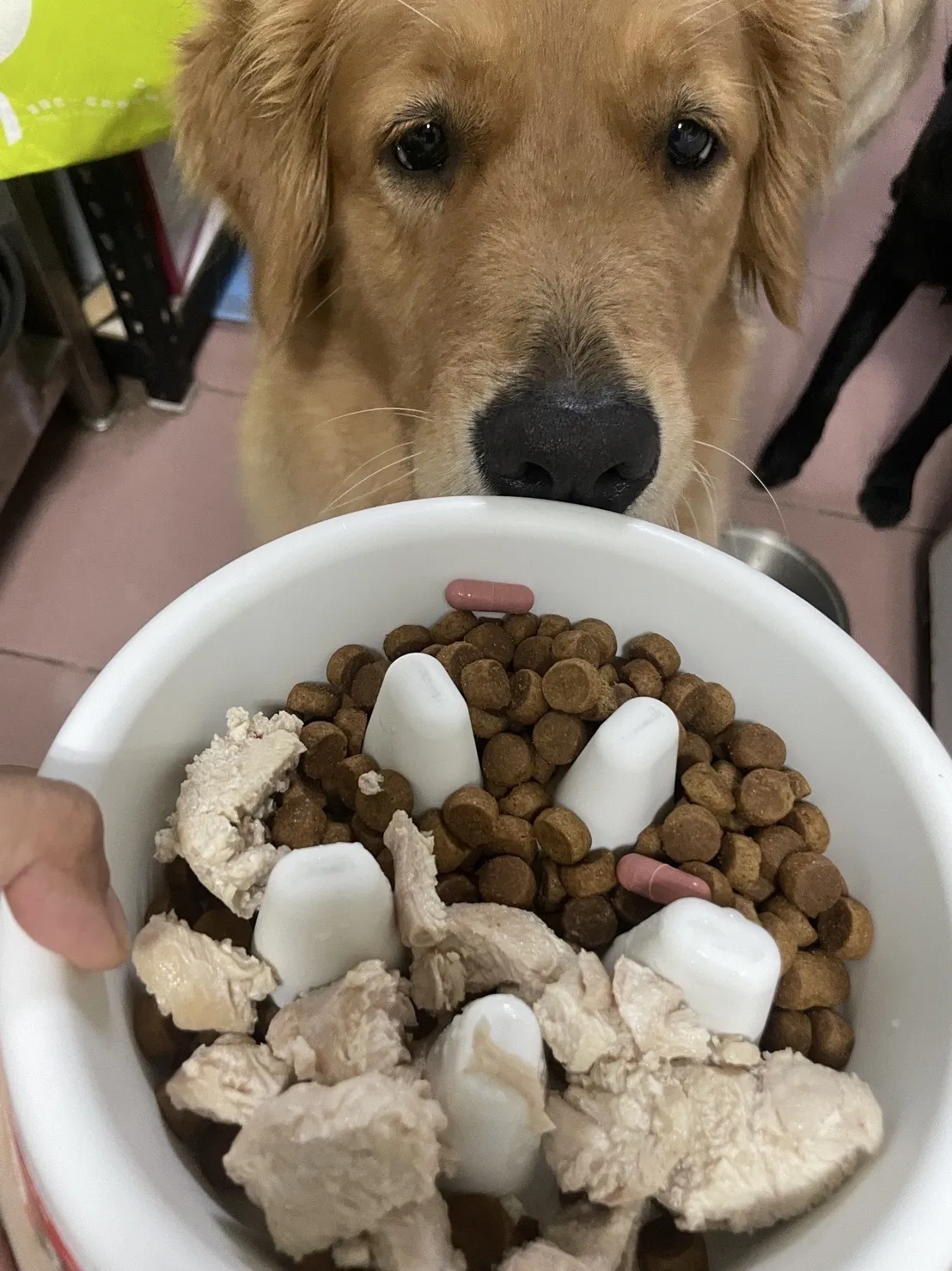 祝妮皮安企業社