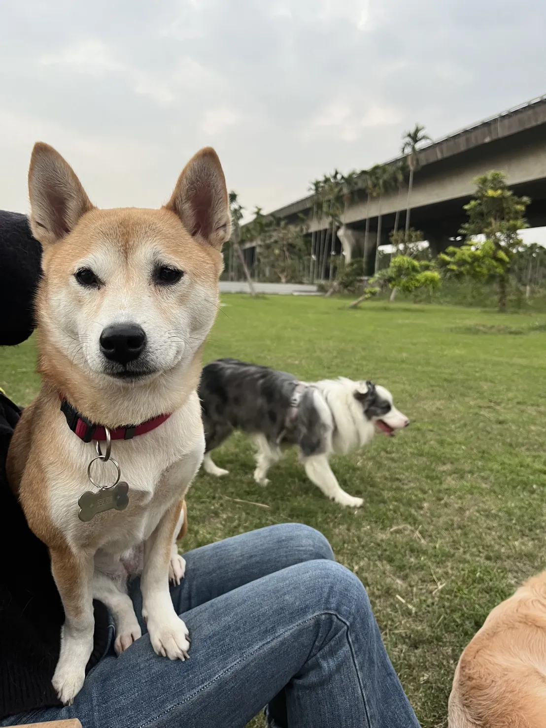 祝妮皮安企業社