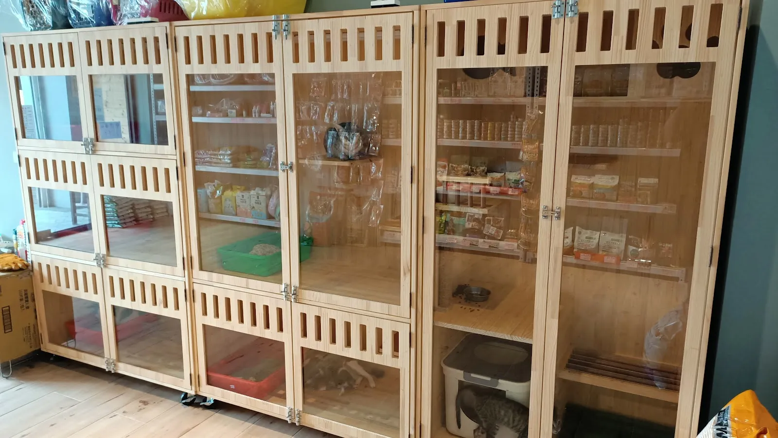 浪寶貝寵物美容