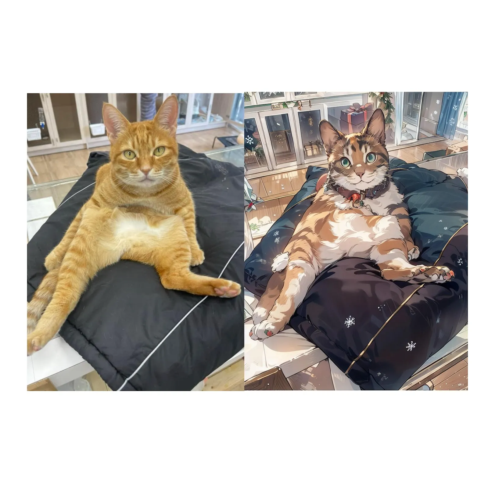 波士頓寵物美學社