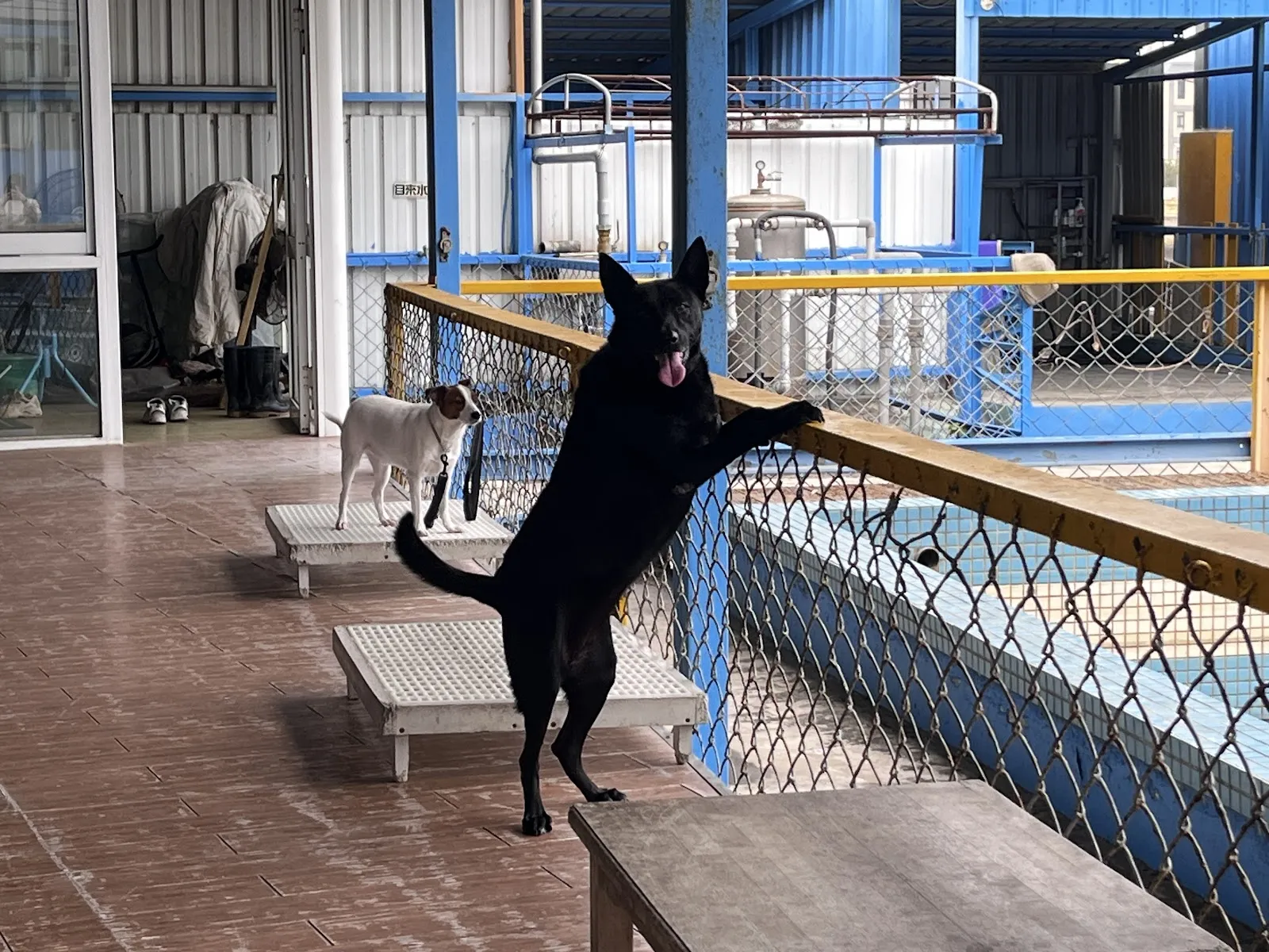 鹿和寵物休閒館