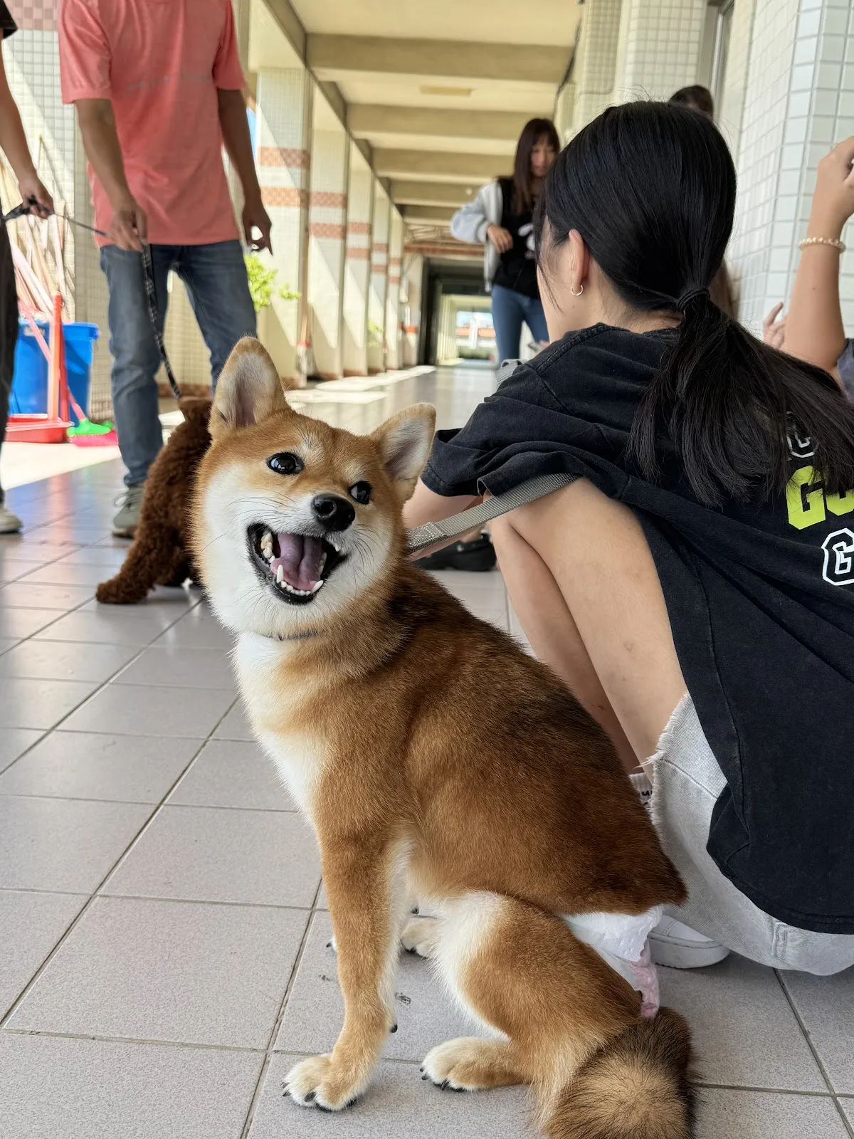 鹿和寵物休閒館