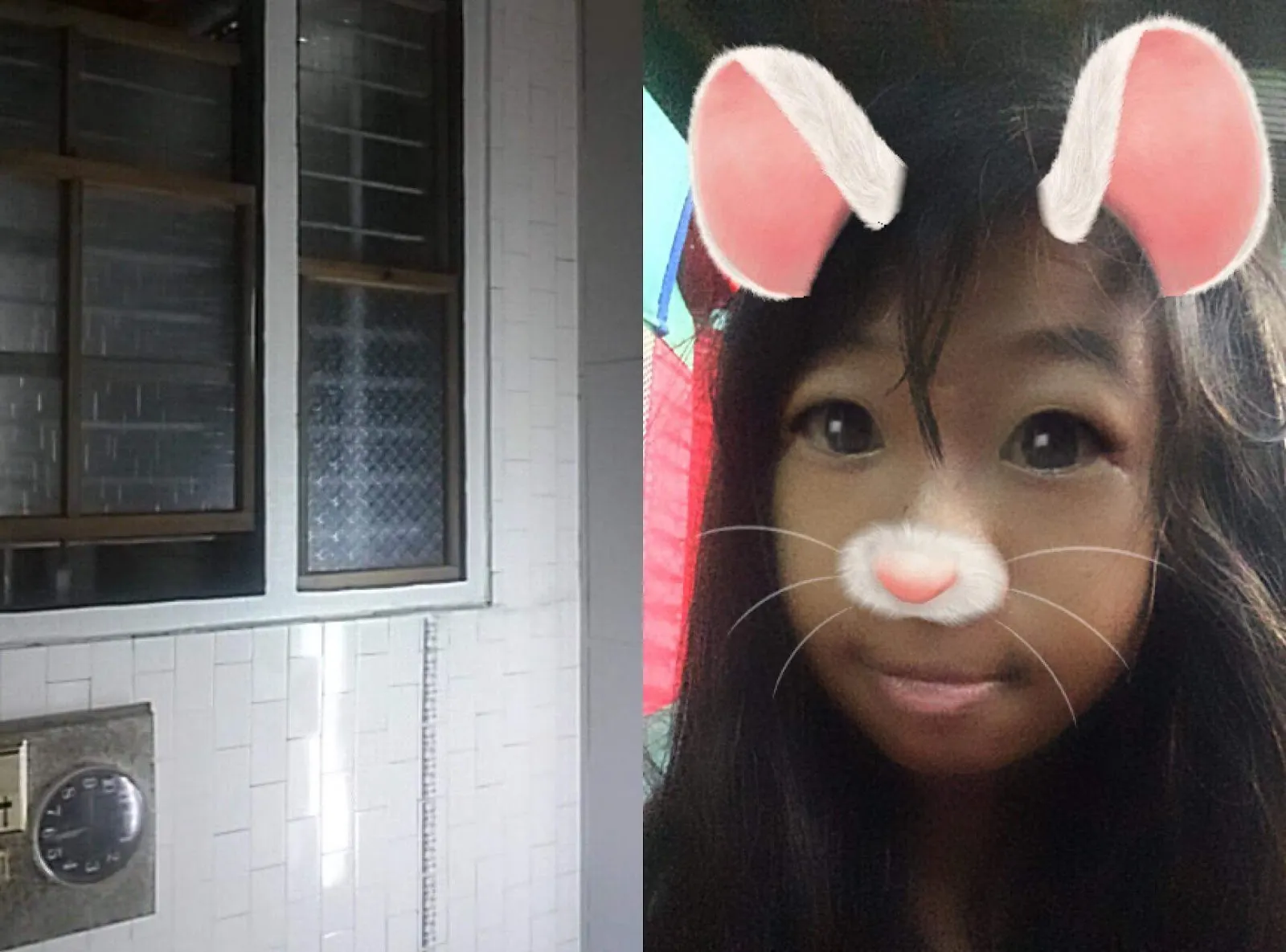 吉利寵物美容屋