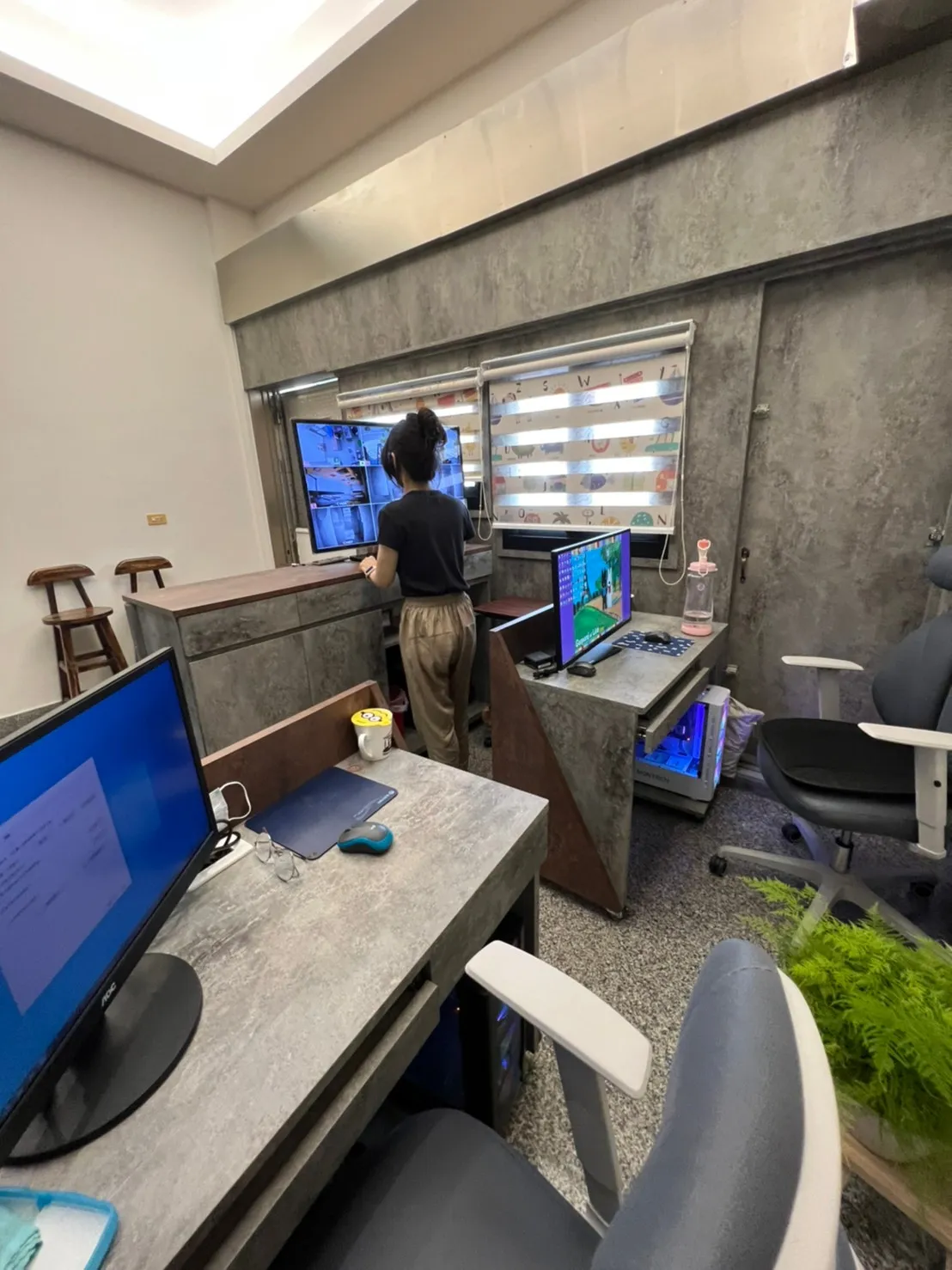 高冷貓旅館貓住宿