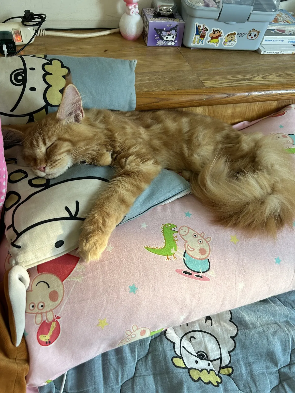 好田糸貓日子工作室