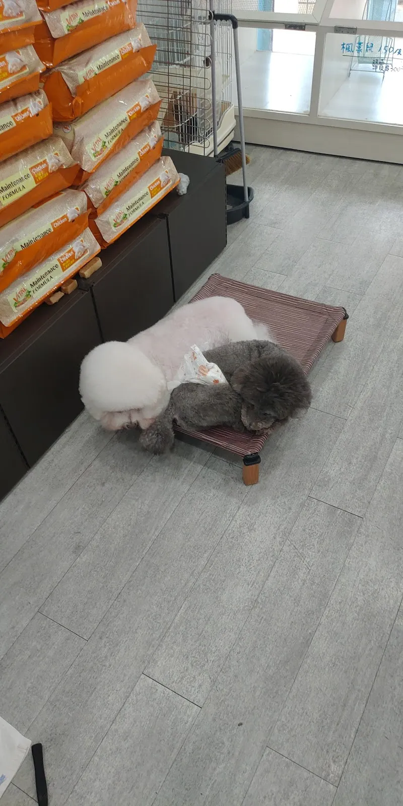 唉唷媽媽寵物生活館