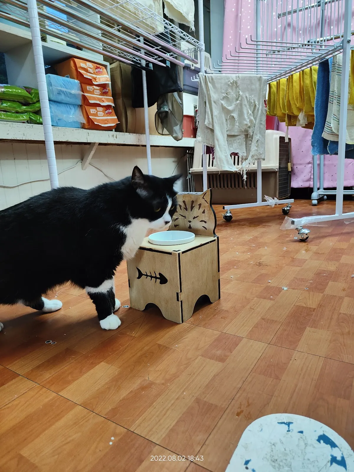 豆佶寵物工作坊