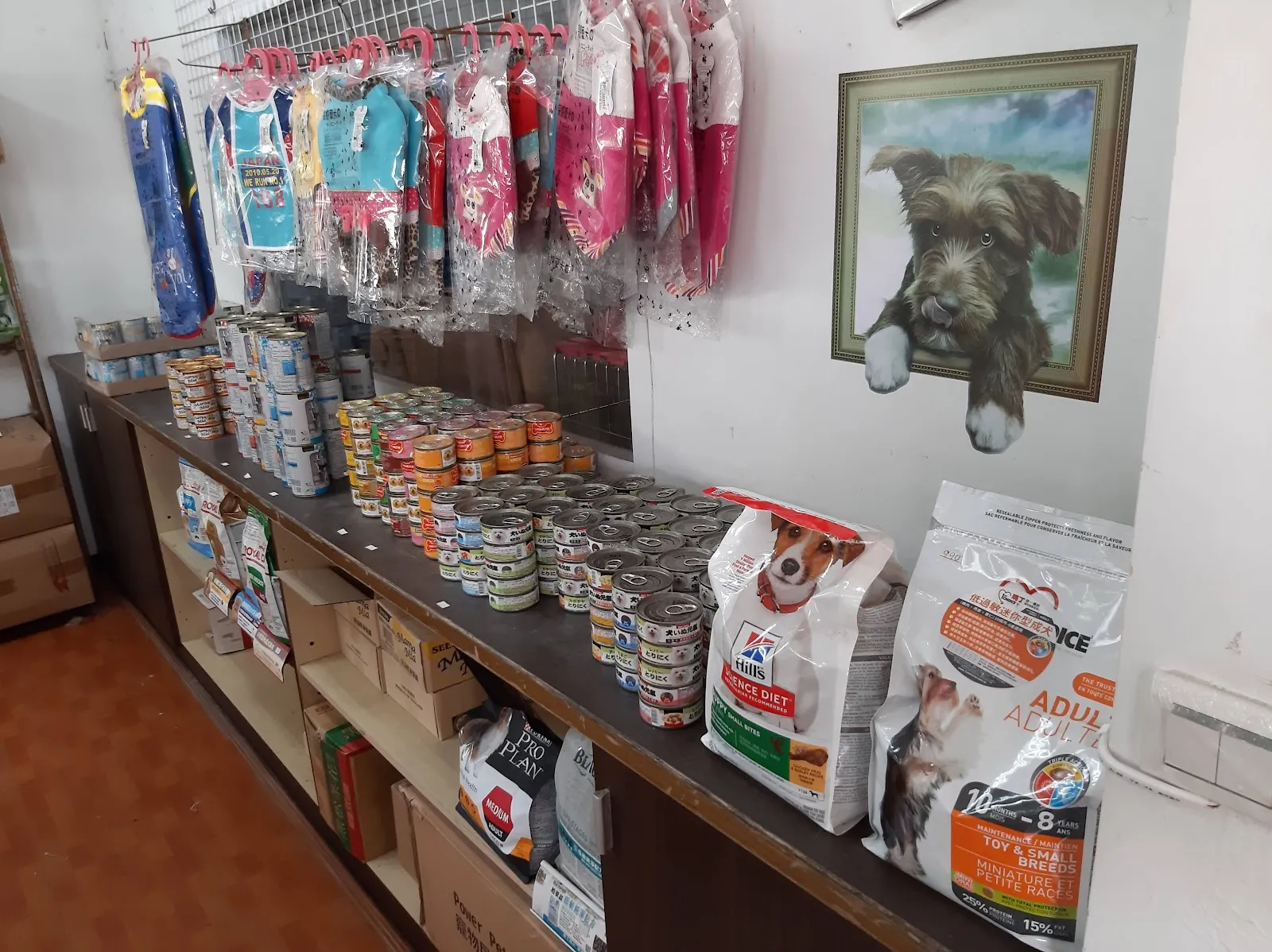 豆佶寵物工作坊