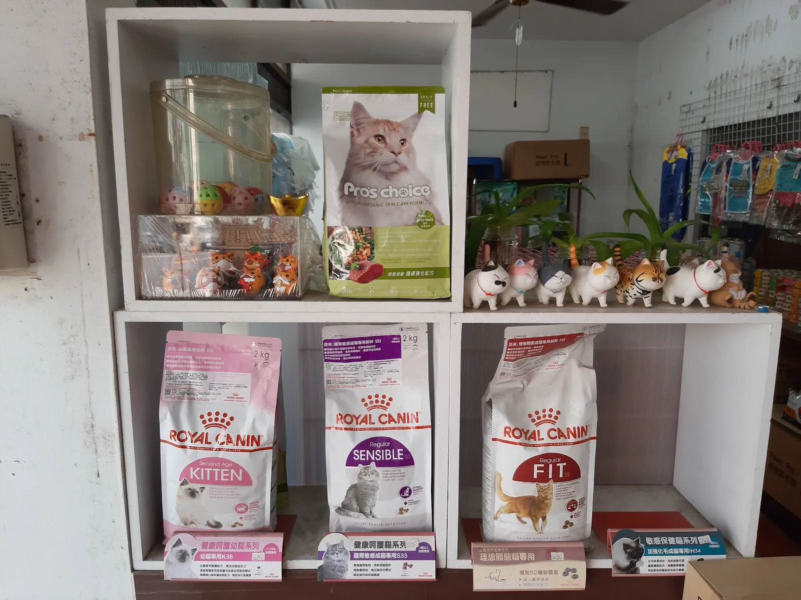 豆佶寵物工作坊