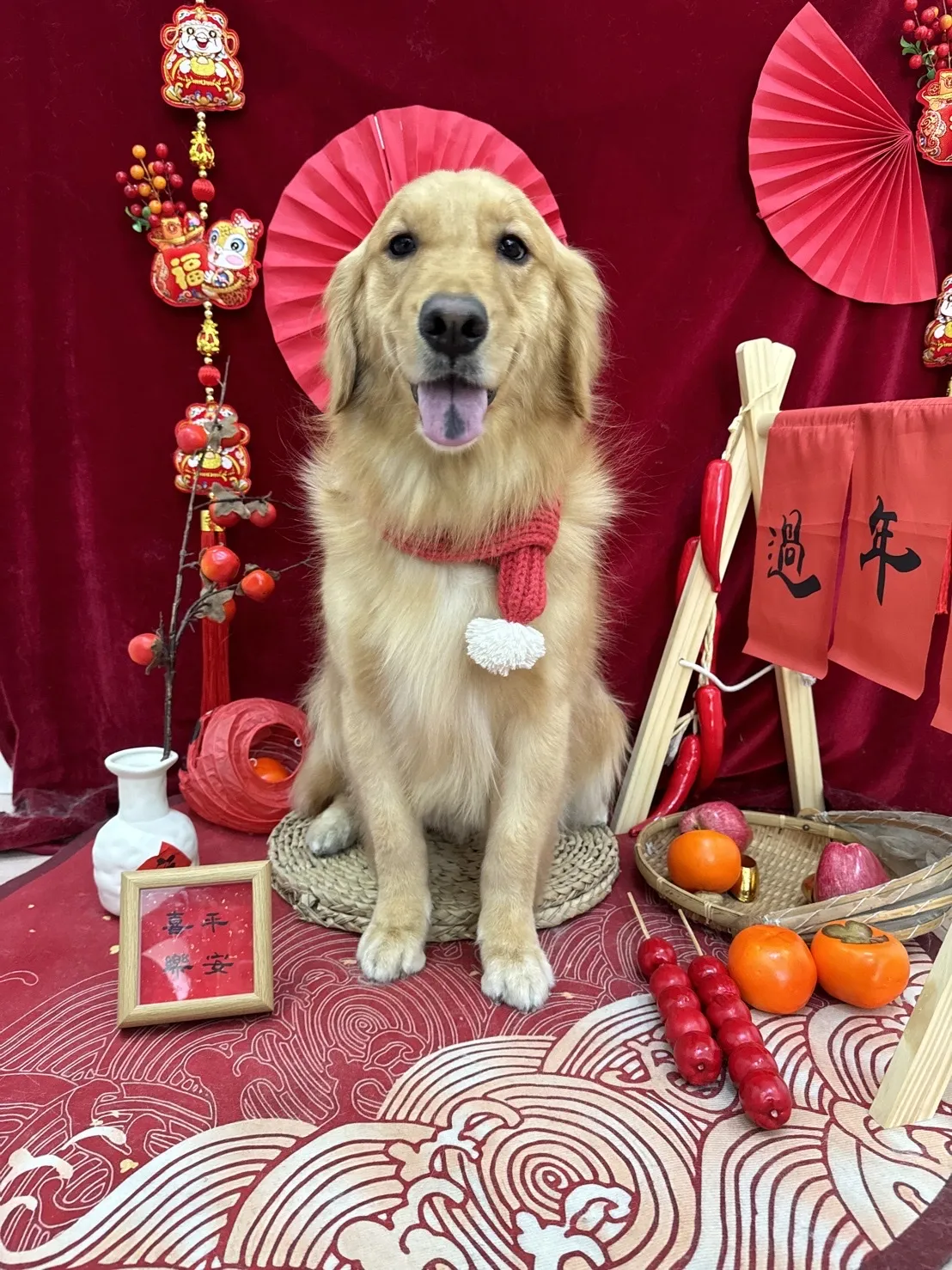 沐沐寵物美容工作室