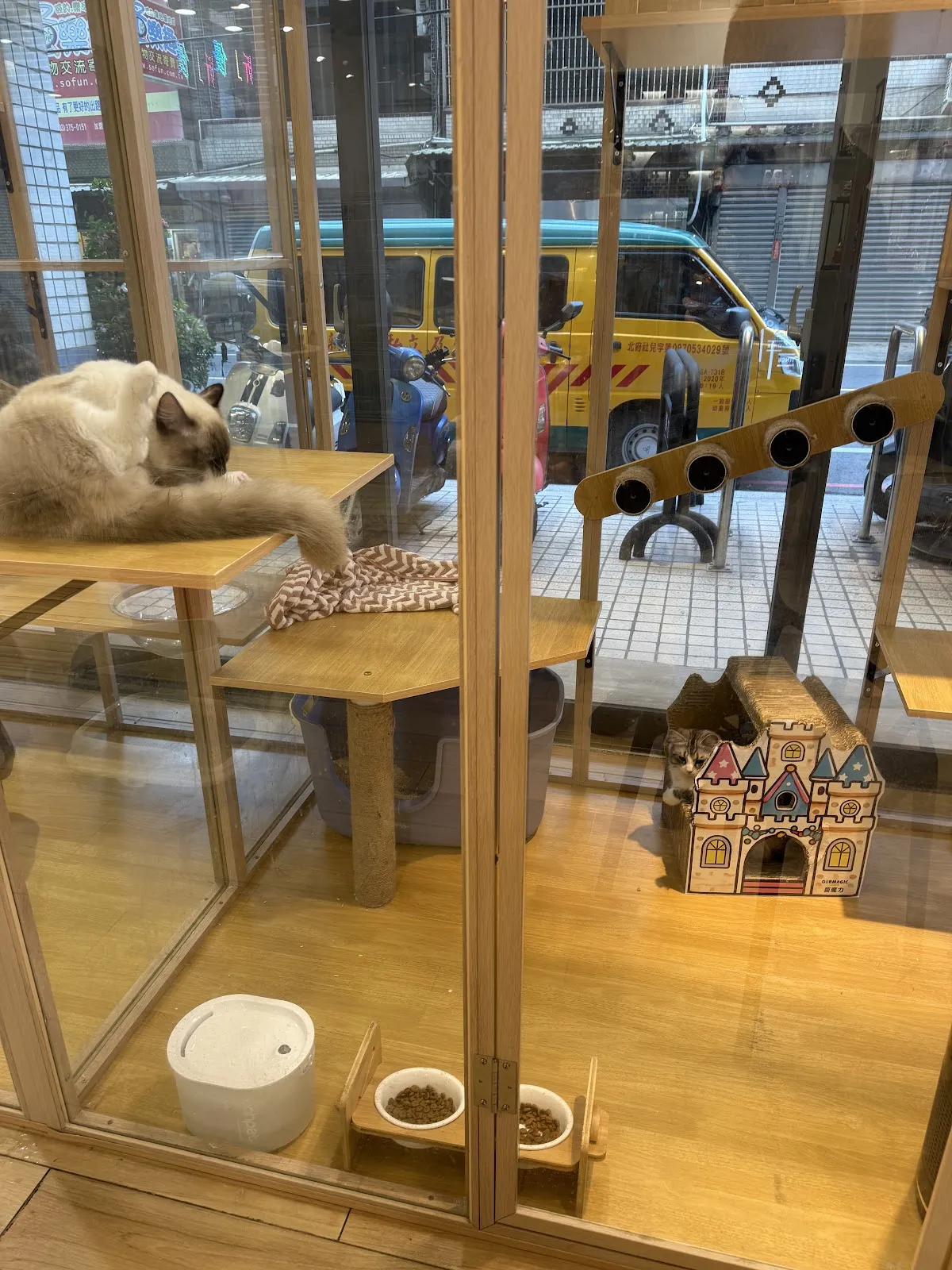 幸福朵貓貓貓舍