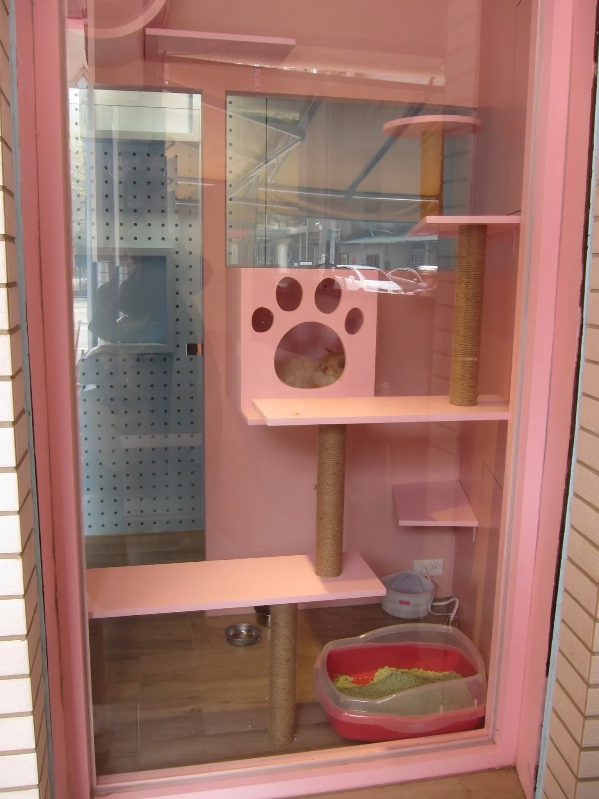 熊大心寵物精品旅館