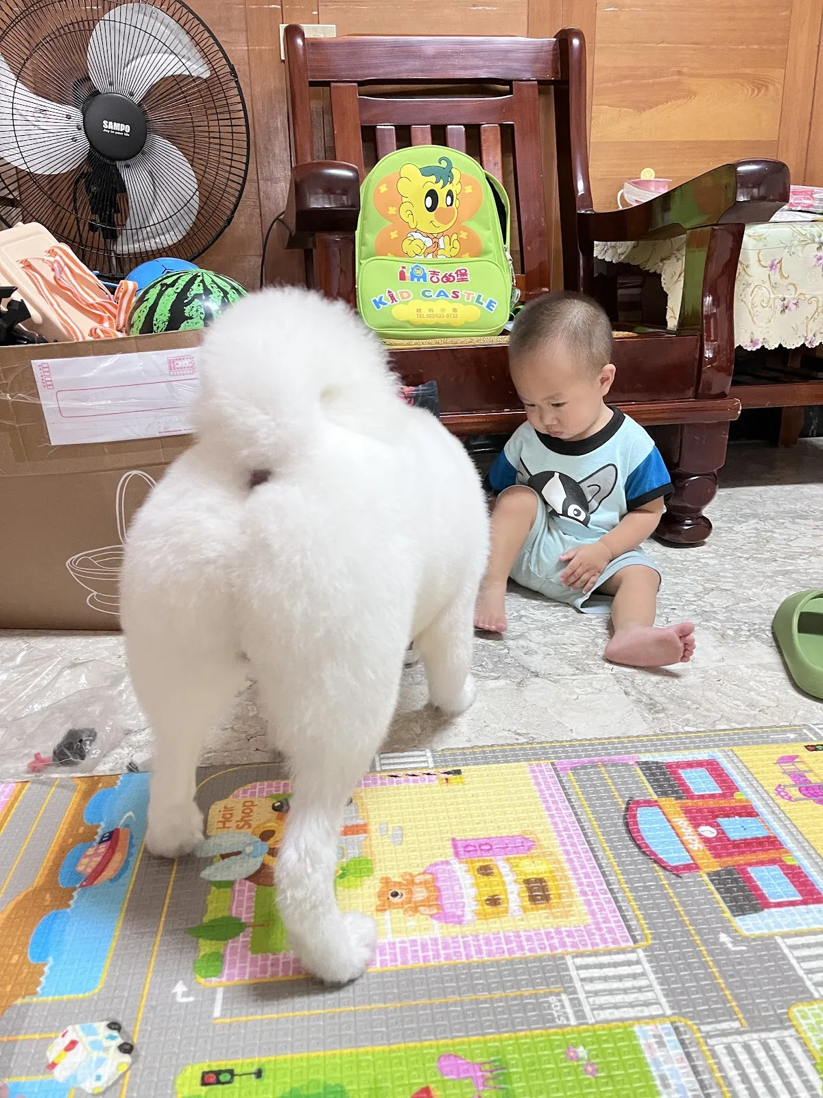 桃樂絲專業寵物沙龍