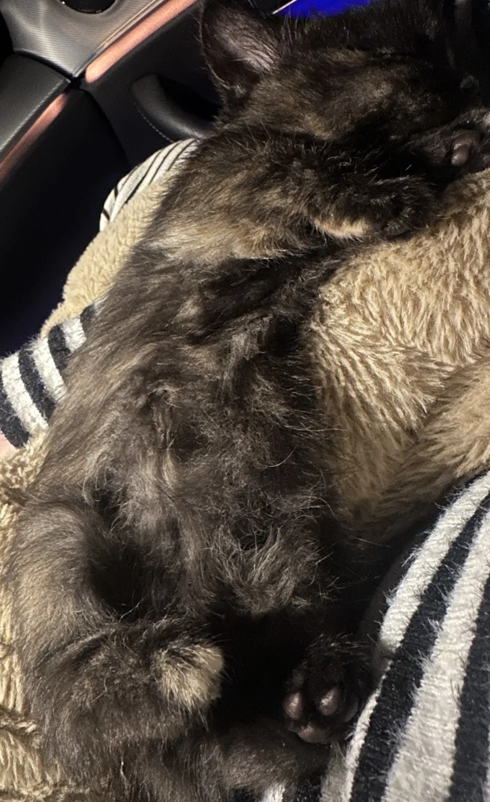 一生一世寵物生活館