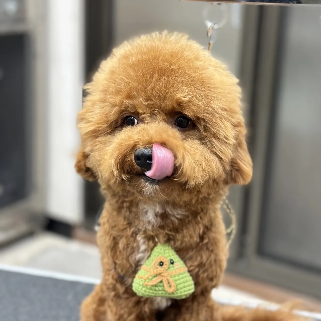 歐比寵物生活館