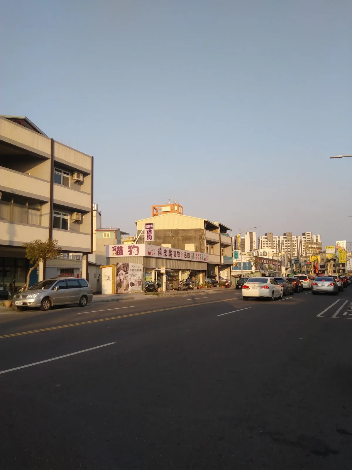 新頑皮族寵物用品社