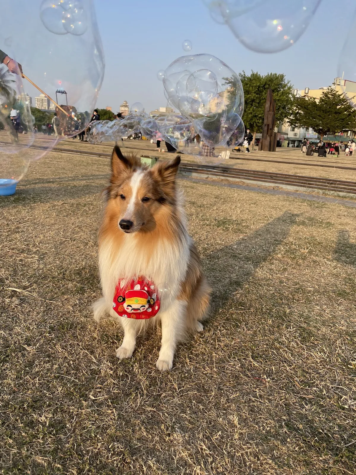 就是愛寵物精品旅館