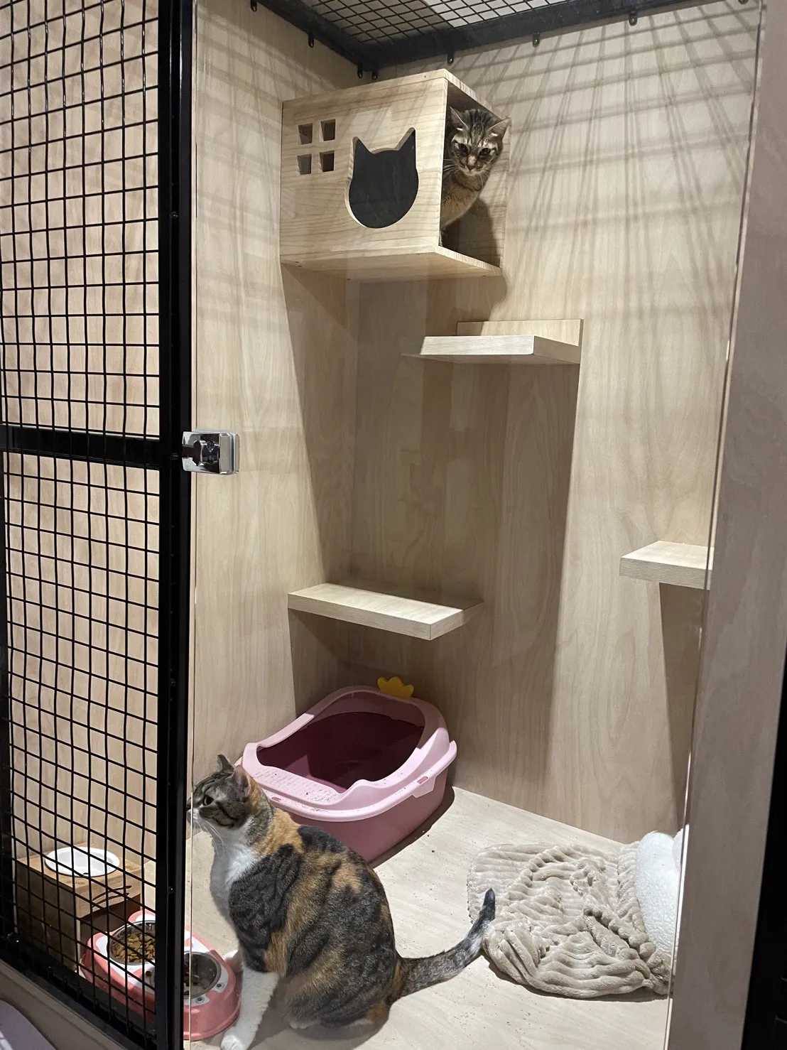 想見妮寵物沙龍