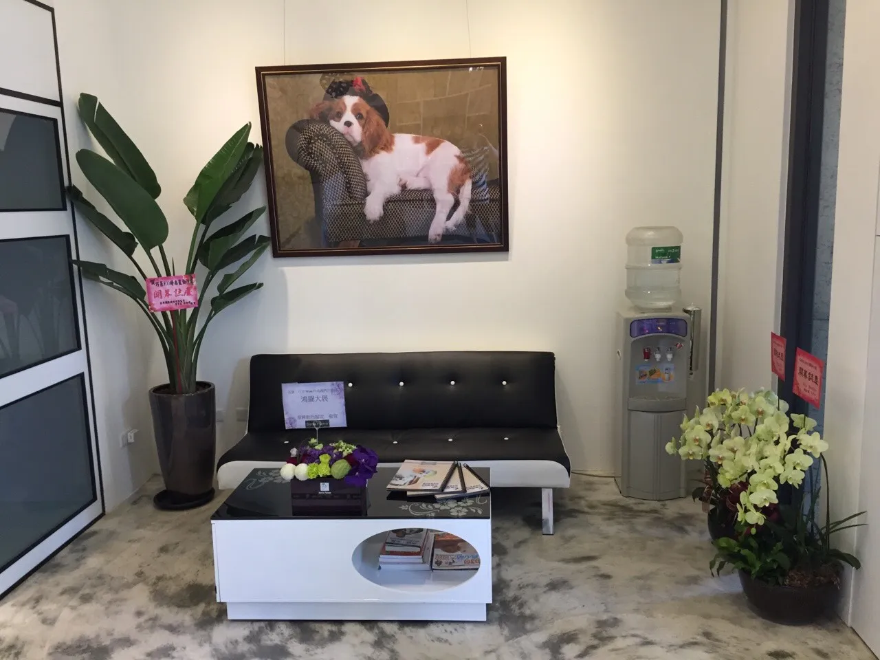 巧菲時尚寵物沙龍