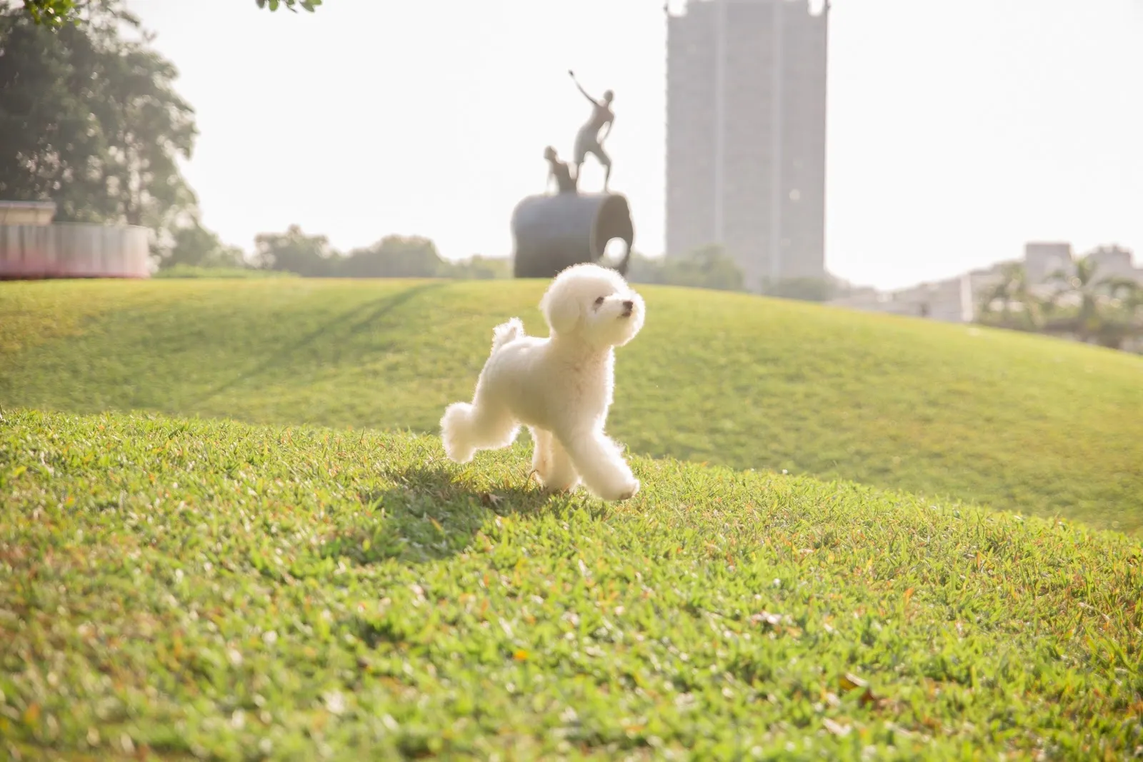 安心肉墊寵物澡堂