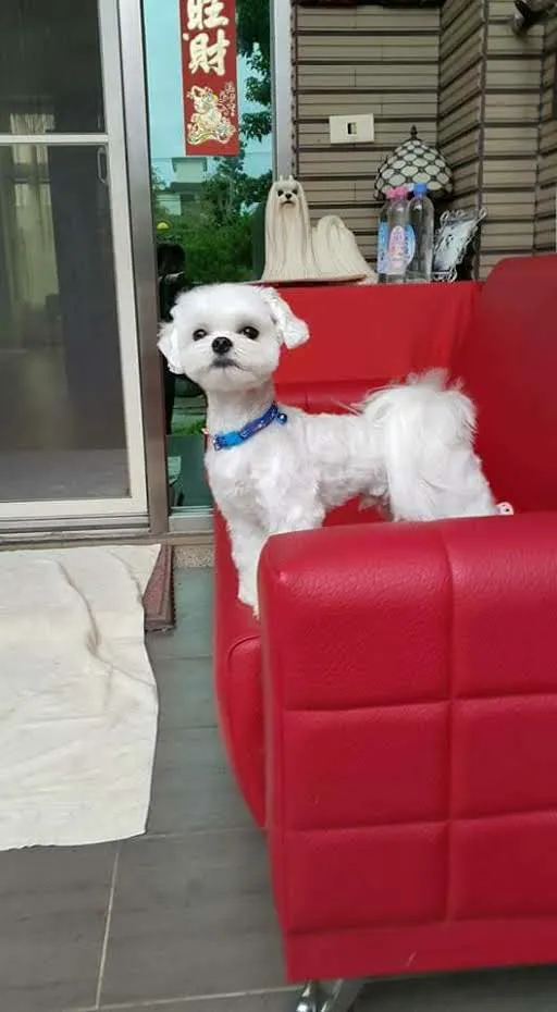 香草田瑪爾濟斯花園坊