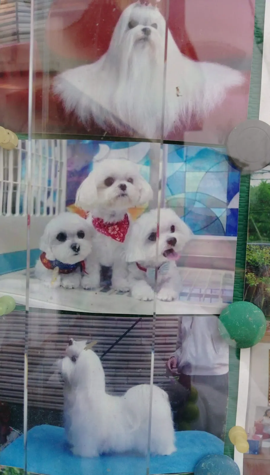 香草田瑪爾濟斯花園坊