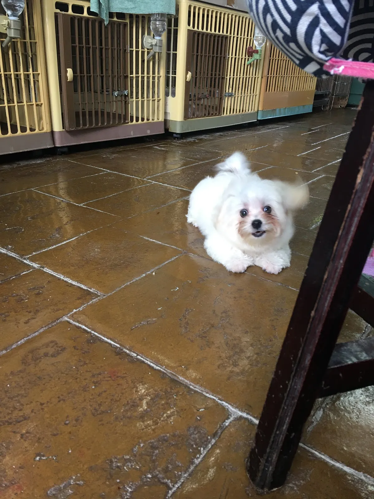 香草田瑪爾濟斯花園坊