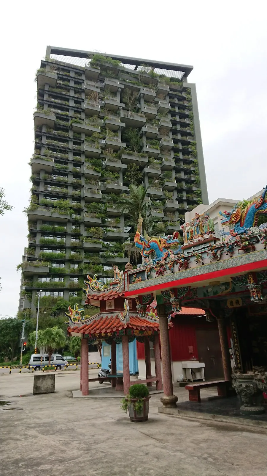 小小貓有限公司