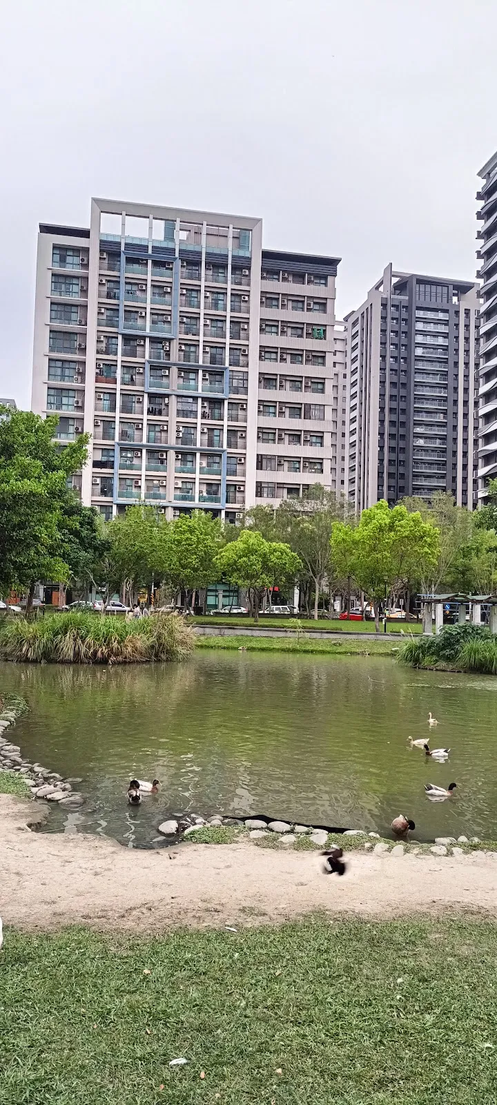 小小貓有限公司