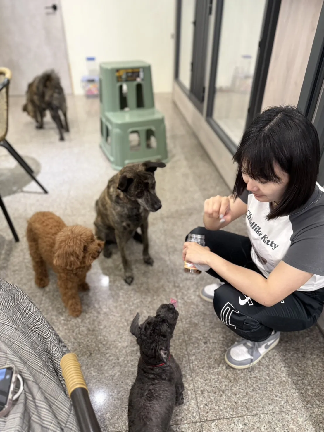 絨毛星球寵物旅館