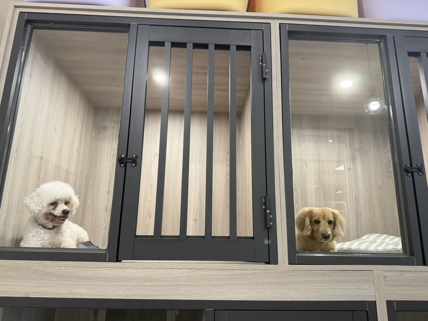 絨毛星球寵物旅館