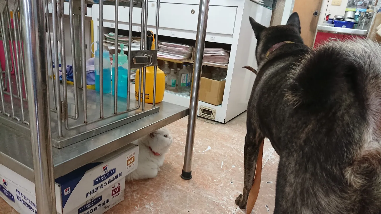 傑生寵物生活館