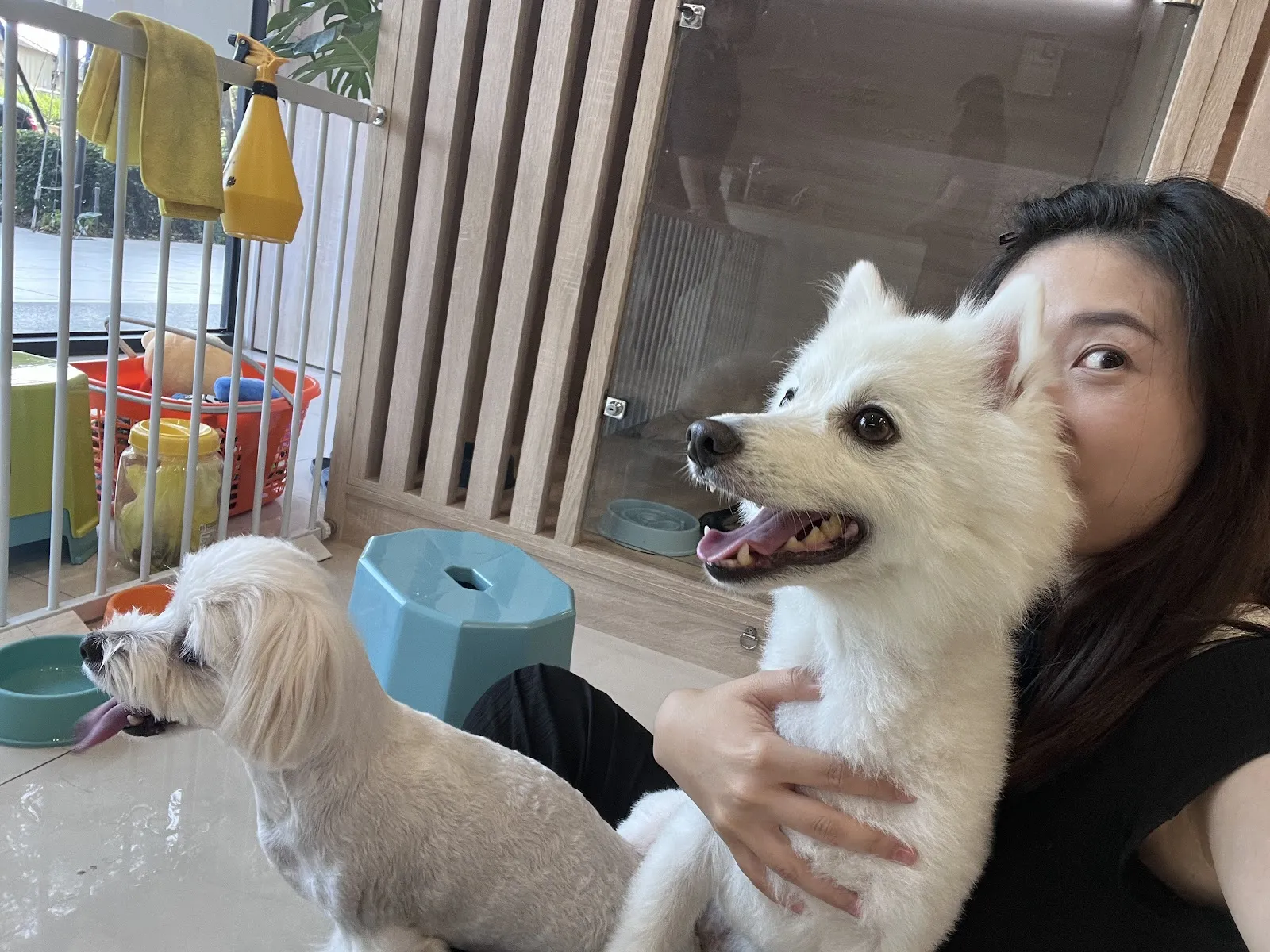 晨露森林寵物旅店