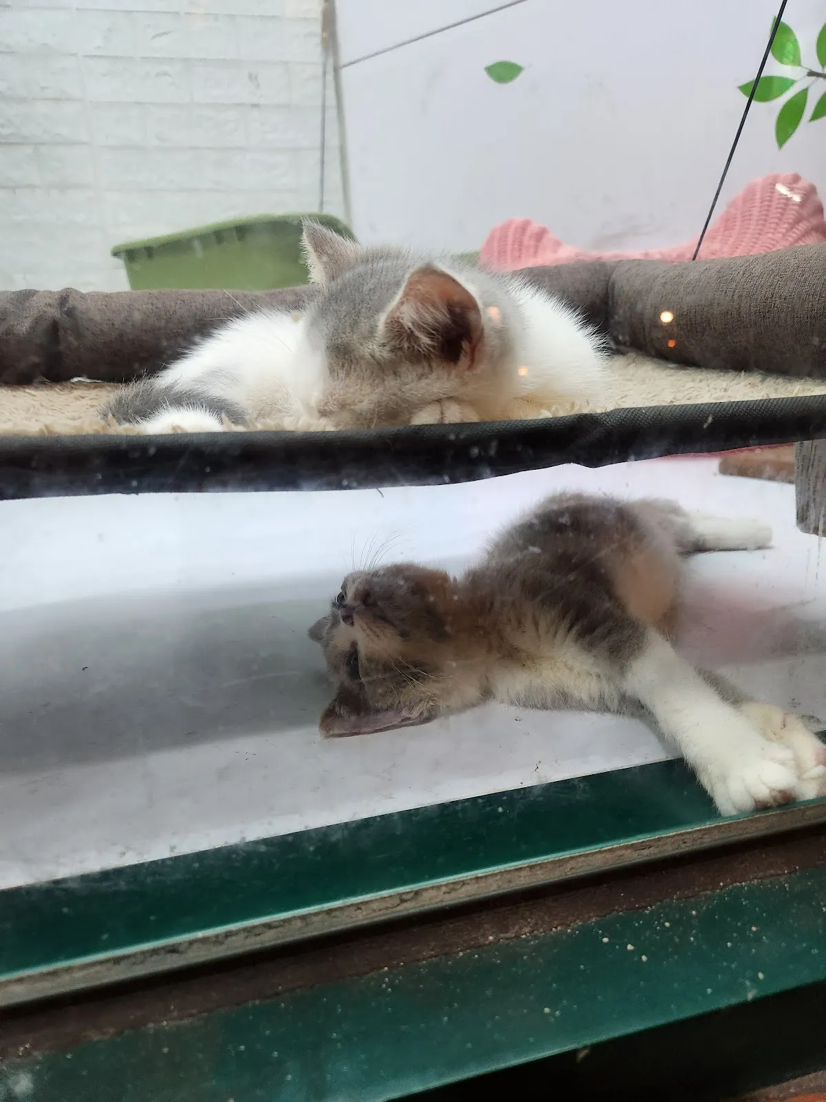 寵愛寶貝生活館