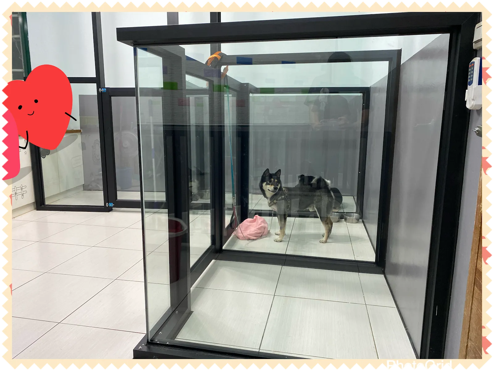 寵愛寶貝生活館