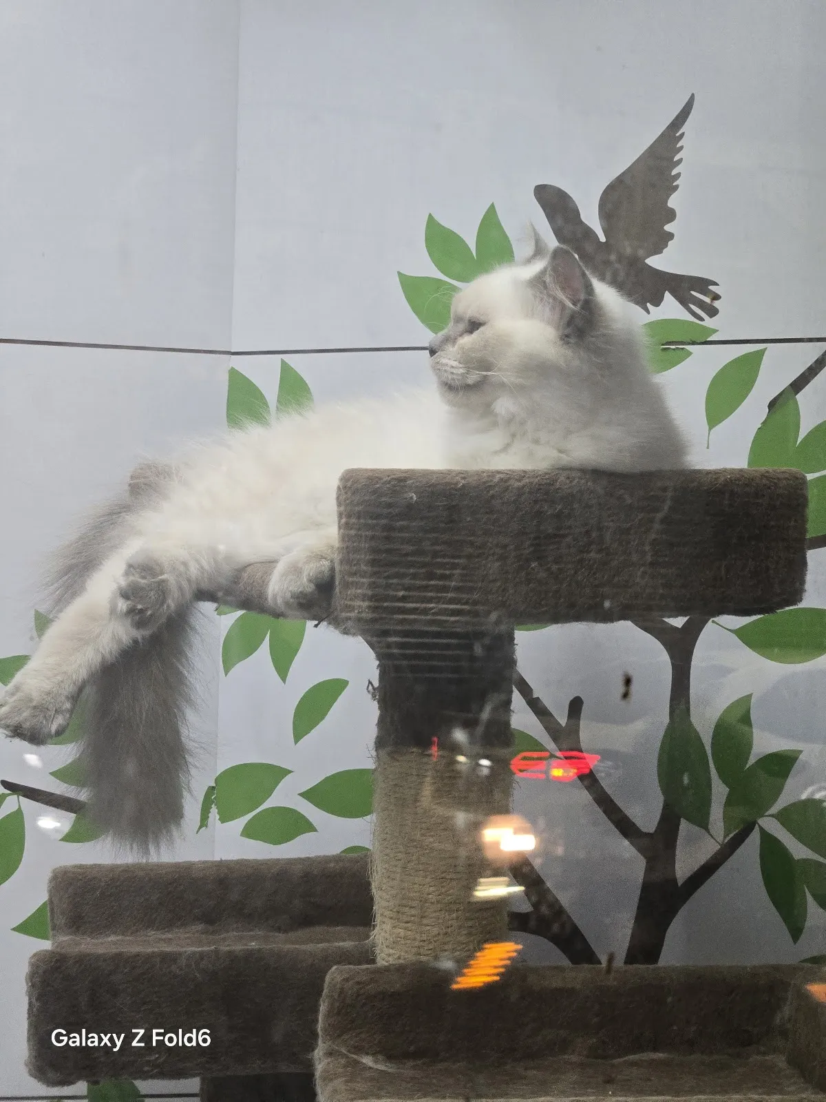 寵愛寶貝生活館