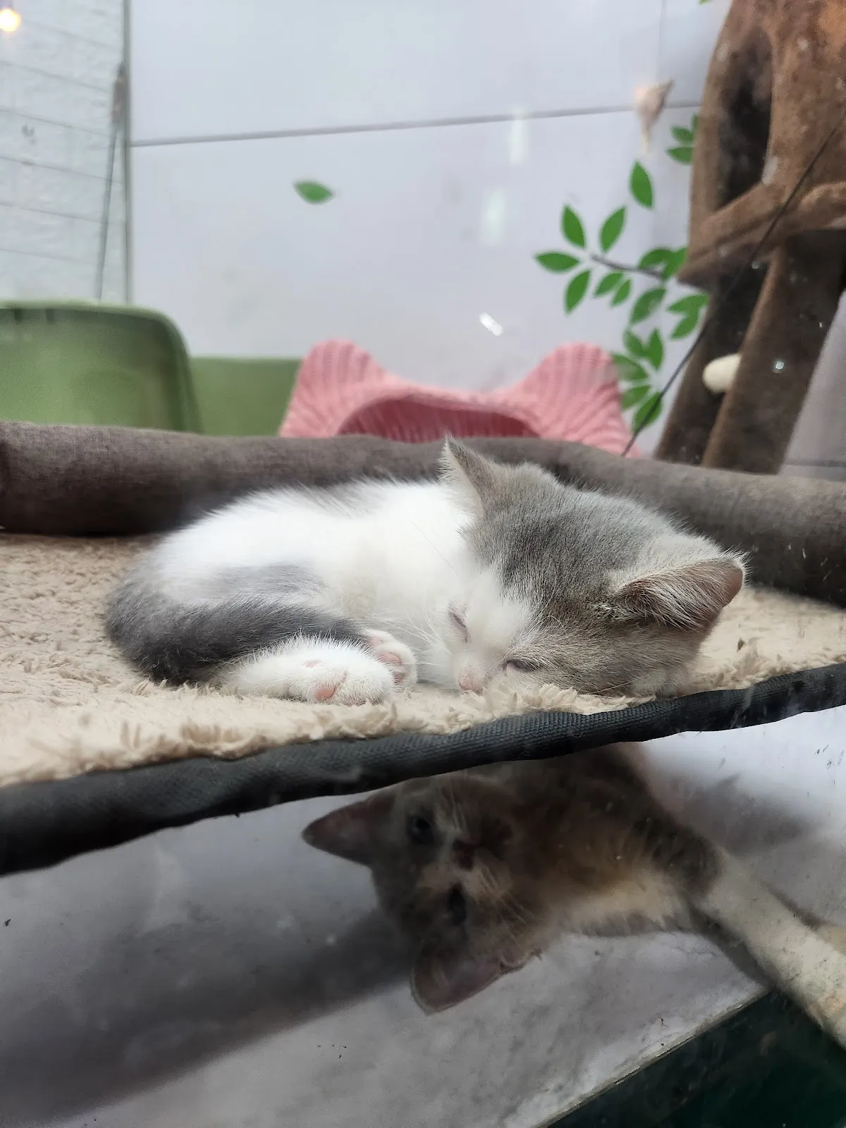 寵愛寶貝生活館