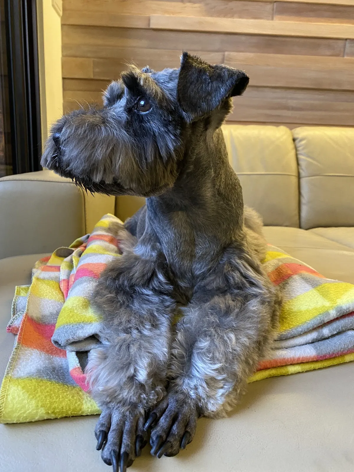 迪恩斯毛孩工作室