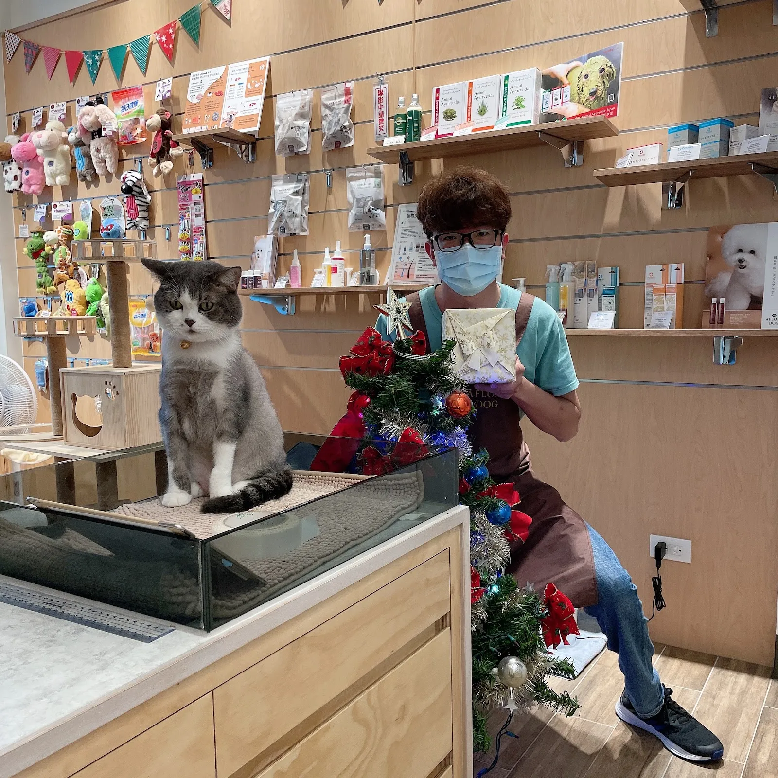 迪恩斯毛孩工作室