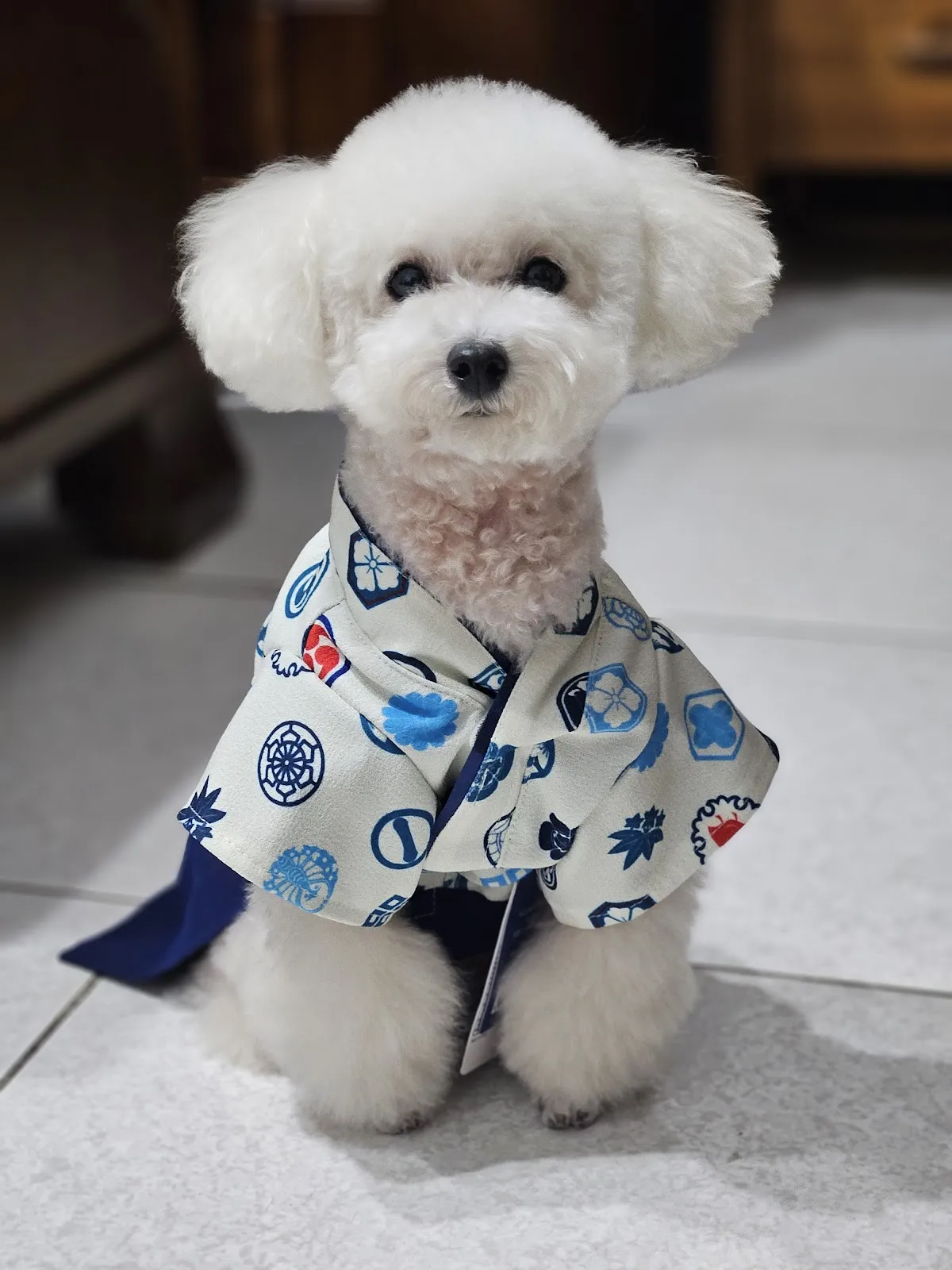 沐宿芽寵物旅館美容