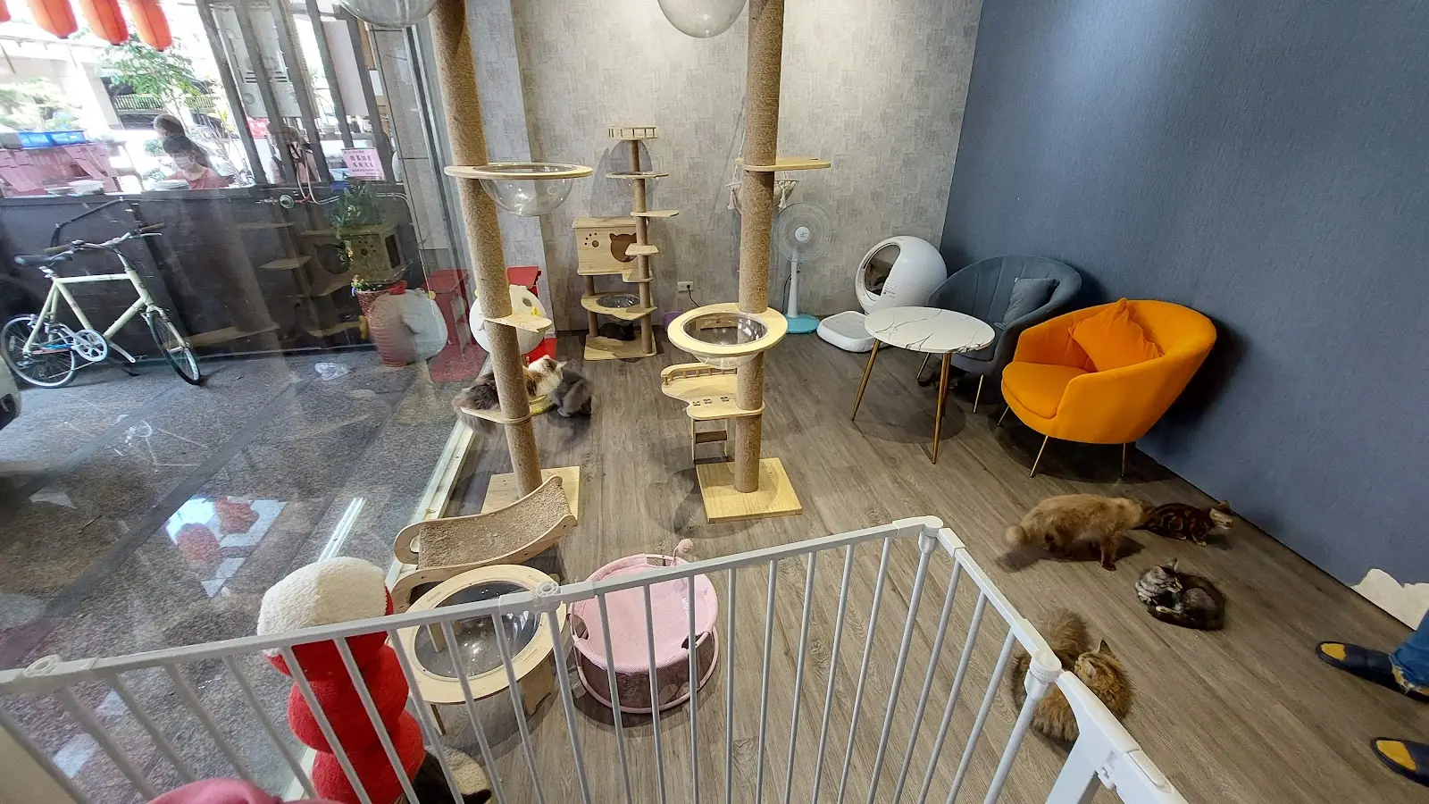 熊孩子寵物有限公司