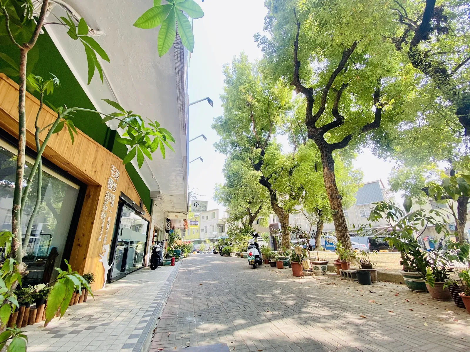 毛孩慢步照護美容工作坊